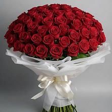Букет 101 Красная роза Блэк Мэджик #REPLACE_PRED# Северном