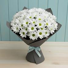 Букет цветов из:  Хризантемы в Северном