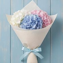 Букет цветов из:  Гортензия в Северном