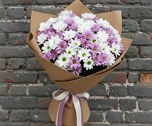 Букет цветов из:  Хризантемы в Северном