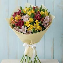 Букет цветов из:  Альстромерии #REPLACE_PRED# Северном