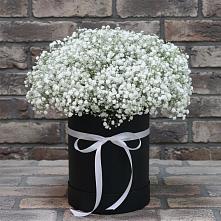 Цветочная композиция из Гипсофила в шляпной коробке в Северном