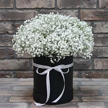 Цветочная композиция из Гипсофила в шляпной коробке в Северном