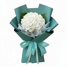 Букет цветов из:  Гортензия #REPLACE_PRED# Северном